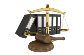 Litigation Services