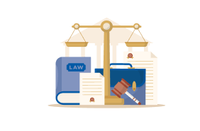 Litigation Services